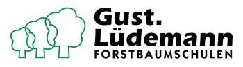 Gustav Lüdemann